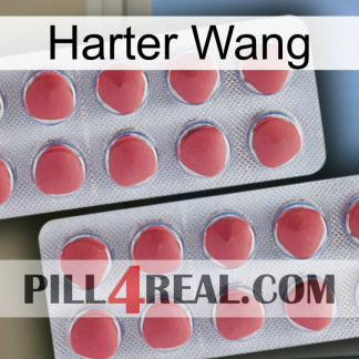 Hard Wang 19